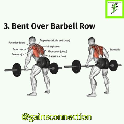 Bentover Barbell Row, Barbell Row Form, Back At The Gym, Workout Charts, Leg Weights, Workouts For Fat Loss, Pull Day Workout, Workout Sheets, Pull Day