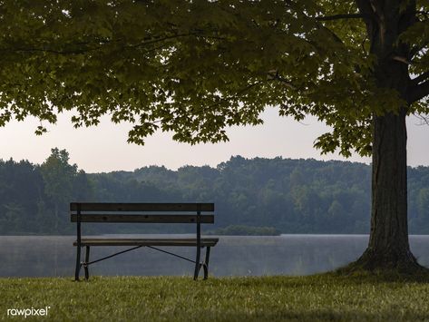 Empty bench by the lake | free image by rawpixel.com / Aaron Burden Lakeside Park, A Quiet Life, Lake Painting, Quiet Life, Sofa Bench, Film Inspiration, Public Park, Beautiful Park, By The Lake