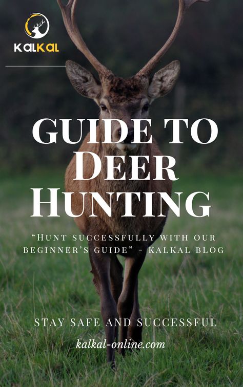 deer hunting guide Deer Hunting Decor, Meat Butcher, Deer Hunting Season, Deer Hunting Tips, Hunting Decor, Hunting Women, Hunting Tips, Living Off The Land, Hunting Season