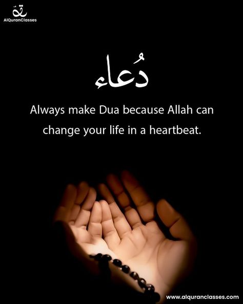 Dua Can Change Everything, Hello Kitty Images, Birds In The Sky, Online Quran, Your Life, Muslimah Aesthetic, Learn Quran, Quran Recitation, Allah Quotes