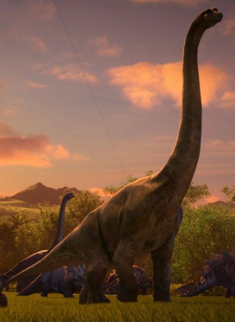 Bumpy In Evolution Camp Cretaceous Mods | Jurassic World Evolution Mod Spotlight, Jurassic World Camp Cretaceous] Brachiosaurus Gen 24 she herbivore is a genus of large sauropod dinosaur it weighed up to an enlarged 56 metric tons brachio have home and kajiu and bracelet radio roar sound need she from vorton be good guy pet to the superheroes dinosaurs series of dimensions Jurassic World Camp Cretaceous, Jeremy Shada, Raini Rodriguez, Glen Keane, Dinosaur Wall Decor, Dinosaur Images, Camp Cretaceous, Dinosaur Pictures, Jurassic World Dinosaurs