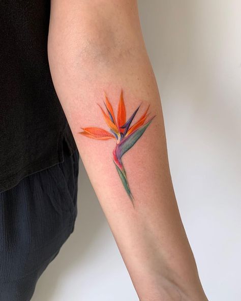 Bird Of Paradise Tattoo, Pixie Tattoo, Tiny Tattoos For Women, Paradise Tattoo, Bestie Tattoo, Tasteful Tattoos, Back Of Shoulder Tattoo, Bff Tattoos, Botanical Tattoo