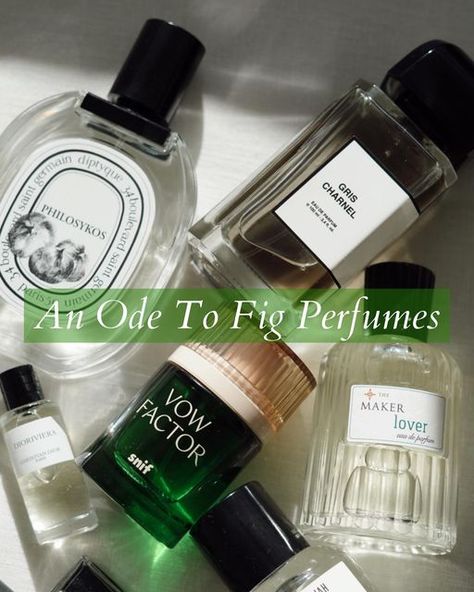 Elizabeta Petkovski on Instagram: "All about fig perfumes! I have two types of fig perfumes in my collection, the fresh and green, usually great to wear in spring and summer. They remind me of Mediterranean summers! And there are the darker more woody and spicy fig scents. Great for colder weather and so cozy! Have you tried a fig perfume? #figperfume #perfumecollection #perfumelovers #perfumeroundup #springperfume #discoverbeauty #discoverperfume" Have You Tried, My Collection, You Tried, Fig, Scents