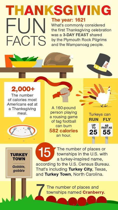 Thanksgiving Infographic, Facts About Thanksgiving, Thanksgiving Fun Facts, Turkey Facts, Thanksgiving Facts, Thanksgiving Treats, Turkey Recipes Thanksgiving, Guinness Book, Fact Of The Day