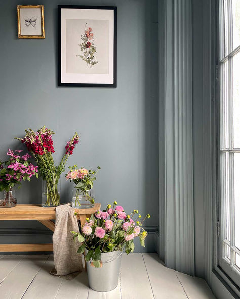 Dusky Blue Walls, 2 Tone Wall Paint Ideas, Blue Wall Paint, Annie Sloan Wall Paint, Cambrian Blue, Saint Claire, Secret Bedroom, Blue Walls Living Room, Blue Gray Paint Colors