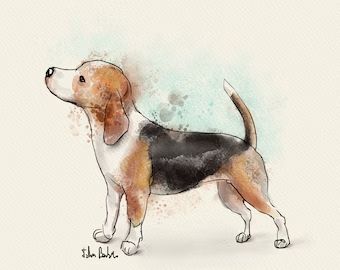 View Australian Shepherd by DigiDogPetArt on Etsy Beagle Drawing, Beagle Painting, Beagle Art, Digital Brushes, Cute Beagles, Dog Poster, Watercolor Dog, Dog Parents, Original Wall Art