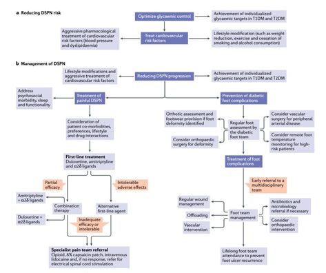 Pathogenesis, diagnosis and clinical management of diabetic sensorimotor peripheral neuropathy @naturerevendo – DF Blog Wound Healing, Biotechnology, Sheffield, In Nature, Career, Medical, Nature