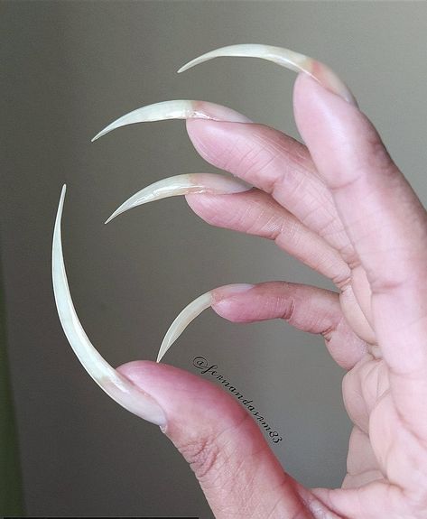 Vein Nails, Long Sharp Nails, Seductive Nails, Natrual Nails, Dracula Costume, Nail Goals, Old Hag, Sharp Nails, Curved Nails