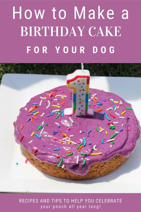 Birthday Cake For Dogs Recipes Easy, Dog Bday Cake, Doggy Birthday, Dog Birthday Cake Recipe, Dog Cake Recipes, Animal Treats, Pet Treats Recipes, Puppy Girl, Colorful Hairstyles