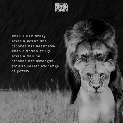 When a man truly loves a woman she becomes his weakness. When a woman truly loves a man he becomes her strength. This is called exchange of power. Loving A Woman Quotes, Men Love Quotes, Strong Man Quotes, Lioness Quotes, Weakness Quotes, Good Man Quotes, Lion Quotes, Quotes Mindset, Lion Love