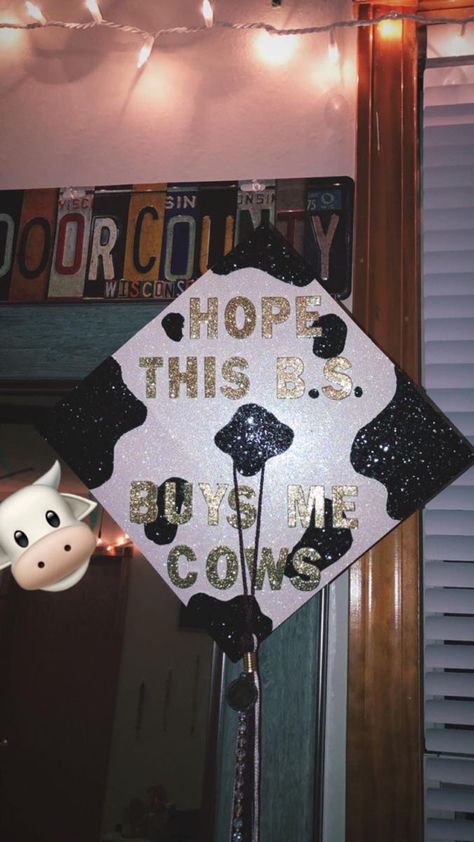 Grad Cap Ideas Agriculture, Cute Cap For Graduation, Graduation Cap Designs Cow Print, Graduation Cap Cow Designs, Graduation Cap Designs Morgan Wallen, Cody Johnson Graduation Cap, Cow Themed Graduation Cap, Country Song Graduation Cap, Cowboy Graduation Cap