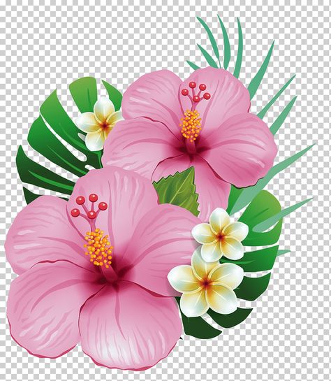 Flamingo Birthday Theme, Hibiscus Flower Drawing, Festa Moana Baby, Mallow Flower, Flamingo Theme, Hibiscus Plant, Flamingo Birthday, Hibiscus Tea, Flower Tea