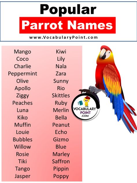 Are you tired of the same old boring pet names? Well, it’s time to turn up the volume and add some color to your life with parrot names that are as vibrant and unique as these feathered friends themselves! Whether you’re a first-time parrot owner or a seasoned bird enthusiast looking to add another member ... <a title="Adorable Parrot Names (Cute, Funny, Pet & Cool)" class="read-more" href="https://vocabularypoint.com/parrot-names/" aria-label="More on Adorable Parrot Name... Bird Pet Names, Names For Parrots, Bird Names Ideas, Pet Bird Names, Citrus Logo Design, Parrot Names, Budgie Names, Birds Name List, Parakeet Names