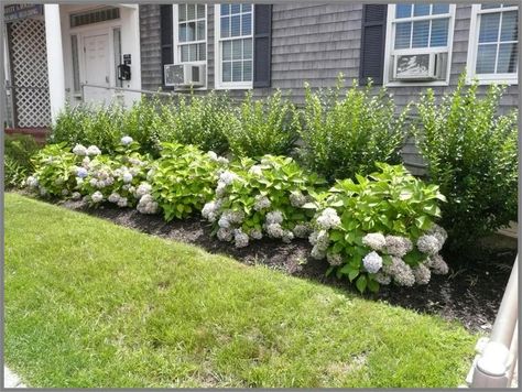 Hydrangea Landscaping, Patio Remodel, Gray House, Landscaping Inspiration, Front Yard Design, House Landscaping, Front Landscaping, Garden Design Plans, Have Inspiration