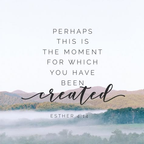 “Perhaps this is the moment for which you have been created.” Esther 4:14 “You are altogether beautiful, my darling, beautiful in every way.” Song of Songs 4:7 Hey, Woman! Read these beautiful, inspiring and encouraging scriptures! #bibleverses #bibleversesoftheday #bibleversesdaily #faith #biblelove #godlovesme #godspromise #godlywoman #jesusisthelight #bible #jesus #jesuschristfamily #dailybibleverses #inspiringquotes #biblequotes #inspirationalquotes Christian Quotes For Women, Faith Quotes Inspirational, Bible Verses For Women, Beautiful Bible Verses, Encouraging Bible Verses, Encouraging Scripture, Inspirational Quotes For Women, Robert Kiyosaki, Inspirational Bible Quotes