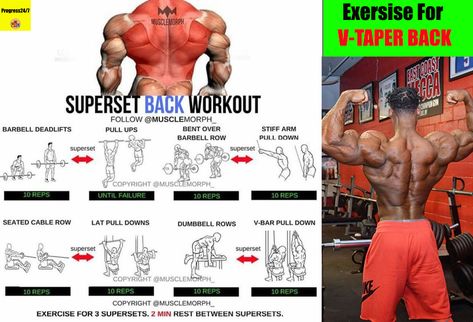 V Taper Workout, V Taper, Back And Bicep Workout, Dumbbell Workouts, Bicep Workout, Band Workouts, Work Out Routines Gym, Barbell Row, Cable Row