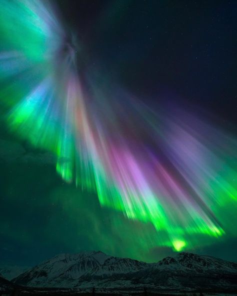 Northern Lights Viewing in Alaska | Travel Alaska Alaskan Northern Lights, Northern Lights Travel, Aroura Borealis, Northern Lights Viewing, Alaska Northern Lights, Travel Alaska, Dog Sled, Alaska Adventures, Alaska Vacation