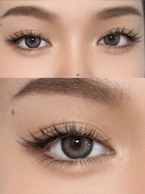 Korean Fake Lashes, Nature Eyelash Extensions, Eyelash Wispy Extensions, Asian Eyelashes Extensions, Wispy Lashes Asian Eyes, Cat Eyes Eyelash Extensions, Eyelash For Small Eyes, Eyelash Inspo Natural, Asian Wispy Lashes