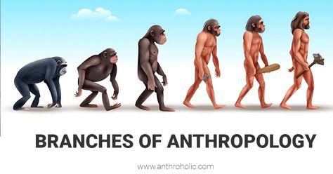 Branches of Anthropology | Anthroholic Linguistic Anthropology, Physical Anthropology, Biological Anthropology, Anthropology, Archaeology, Physics, Places To Visit, Blog Posts, Quick Saves