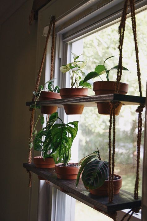 DIY Hanging Plant Shelf - Living the Gray Life Diy Plant Shelf, Window Shelf For Plants, Pallet Deck Diy, Window Plant Shelf, Succulent Display, Diy Hanging Planter, Hanging Herbs, Diy Hanging Shelves, Window Plants