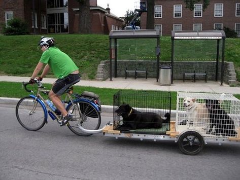 Multi Dog Trailer Bici Retro, Bicycle Cargo Trailer, Biker Dog, Dog Bike Trailer, Work Commute, Bicycle Trailers, Bike Cargo Trailer, Bike Cart, Dog Trailer