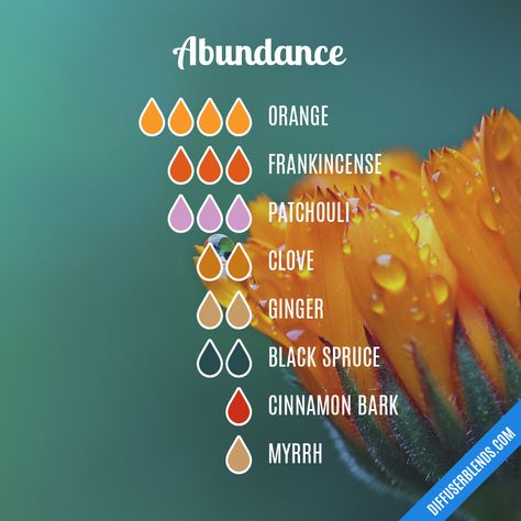 Cleansing Essential Oils Diffuser Blends, Abundance Oil, Abundance Essential Oil, Essential Oil Perfumes Recipes, Black Spruce, Essential Oil Combinations, Aromatherapy Recipes, Essential Oil Diffuser Blends Recipes, Essential Oil Remedy