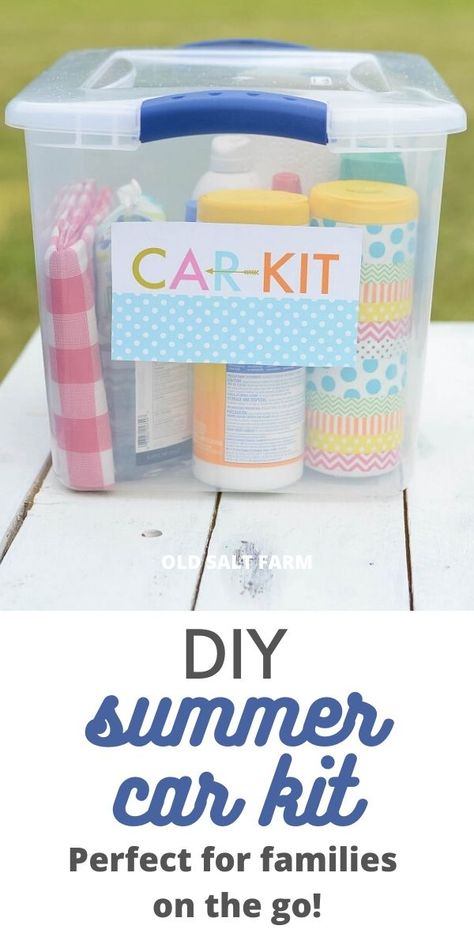 Summer Survival Kit, Babysitting Ideas, Car Packing, Summer Car, Clorox Wipes, Family Projects, Car Emergency Kit, Car Organization, Car Supplies