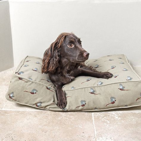 Sophie Allport | 20% Off Summer Styles – Sophie Allport® Dog Mattress, Mattress Dog Bed, Cosy Bed, Mattress Bed, Sophie Allport, Halloween Party Dinner, Coloured Background, Game Birds, Loving Friends