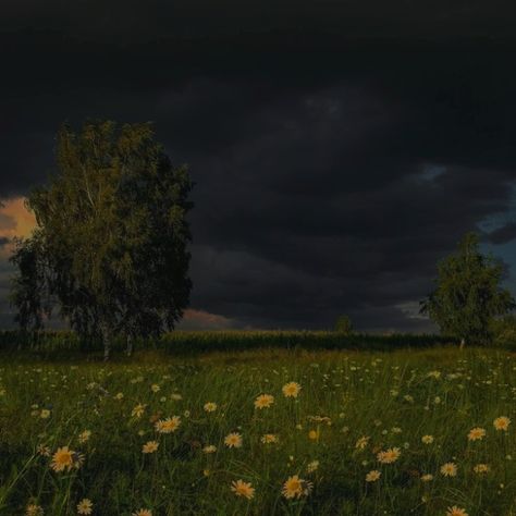 Stormy Flower Field, Spring Storm Aesthetic, Storms Aesthetic, Hozier Songs, Rainy Skies, Rainy Day Vibes, Taurus Vibes, Storm Aesthetic, Stormy Sunset