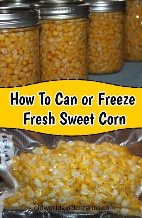 How To Preserve Fresh Corn, How To Preserve Fresh Squash, Meals To Can, Canning Fresh Corn, Canning Corn Recipes, Preserving Corn, How To Can Corn, Freezing Corn, Canning Corn