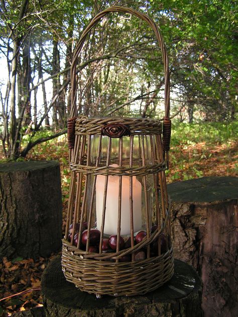 Woven Lantern, Small Willow Weaving Projects, Round Willow Basket, Willow Furniture, Basket Willow, Basket Weaving Foraging, Willow Garden, Square Baskets, Willow Weaving