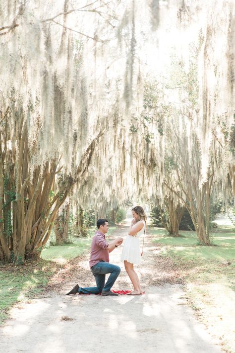 Southern Proposal, Charleston Proposal, New Orleans Proposal, Charleston Engagement, South Carolina Proposal, Engagement Photoshoot Ideas Charleston, Charleston Couple Photos, Charleston Sc Couples Photography, Columbia South Carolina