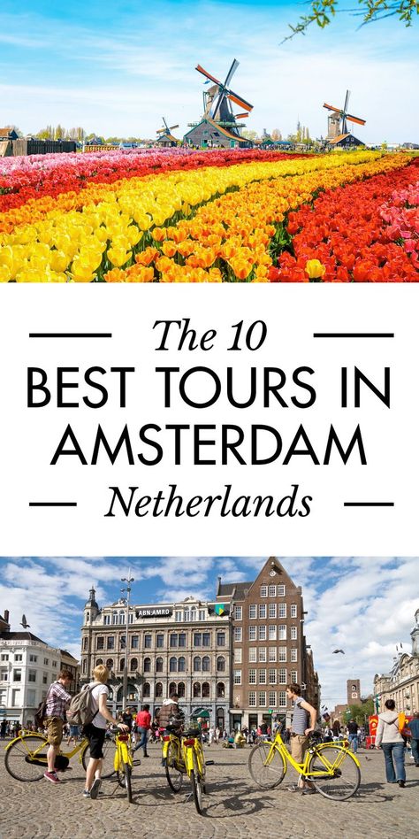 Best Tours In Amsterdam, Amsterdam Things To Do, Venice Things To Do, Netherlands Trip, Travel Netherlands, Norway Cruise, Things To Do In Amsterdam, Travel Amsterdam, To Do In Amsterdam