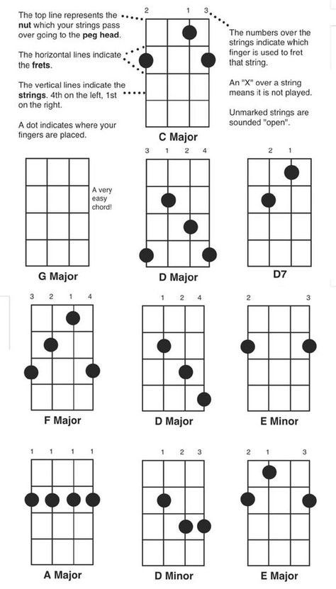 free printable banjo chord chart pdf jpg Banjo Tabs Easy, Moonlight Sonata Sheet Music, Learning Banjo, Mandolin Chords, Clawhammer Banjo, Banjo Tuning, Banjo Chords, Banjo Tabs, Banjo Lessons