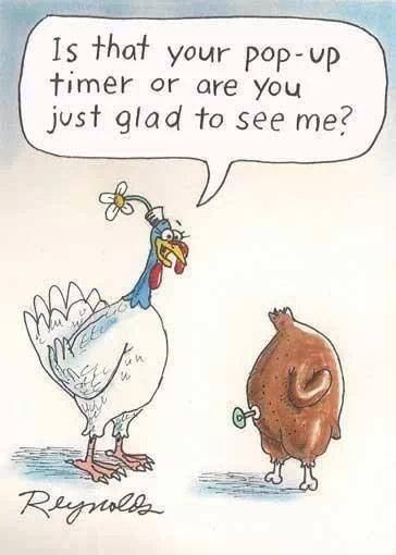 Thanksgiving humor Funny Thanksgiving Images, Funny Thanksgiving Pictures, Funny Thanksgiving Memes, Turkey Jokes, Thanksgiving Meme, Happy Thanksgiving Funny, Thanksgiving Quotes Funny, Thanksgiving Jokes, Thanksgiving Cartoon