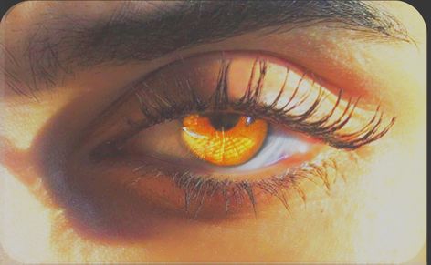 Orange Eyes, Amber Eyes, Golden Eyes, Sunset Orange, Aesthetic Eyes, Be Blessed, Ice Pack, Fantasy Aesthetic, Yellow Eyes