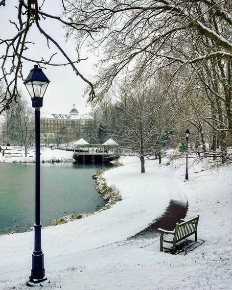 Current conditions at Emeriti Park on the OHIO University campus in Athens, Ohio. Go have a snowventure! (2/9/21) #athensohio 📷 @joelprince Athens Ohio Aesthetic, Ohio University Aesthetic, Ohio Aesthetic, Ohio University Athens, University Aesthetic, Athens Ohio, Ohio University, Wish I Was There, University Campus