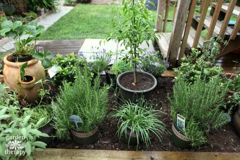 A Culinary Kitchen Garden Perfect for Small Spaces - Garden Therapy Culinary Garden, Renovation Plan, Garden Renovation, Culinary Kitchen, Small Herb Gardens, Outdoor Herb Garden, Herb Garden In Kitchen, Garden Therapy, Herb Garden Design