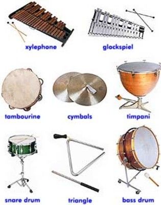 Instruments Of The Orchestra, Instrument Families, Preschool Music, Music Worksheets, Music Appreciation, Drum Lessons, Music Ed, Family Video, Learn Music