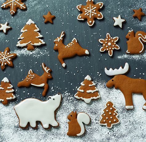 Gingerbread Cookies Decorated, Christmas To Do List, Food Marketing, Gingerbread Party, Gingerbread Decorations, Bear Cookies, Ginger Cookies, Cookie Frosting, Christmas Cookies Decorated