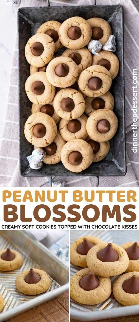 Cookies With Reeses Cups, Cookies With Chocolate Kisses, Cookie Blossoms, Peanut Butter Kiss Cookies Recipe, Peanut Blossom Cookies, Peanut Butter Blossoms Recipe, Chocolate Kiss Cookies, Peanut Butter Blossom, Peanut Butter Kiss