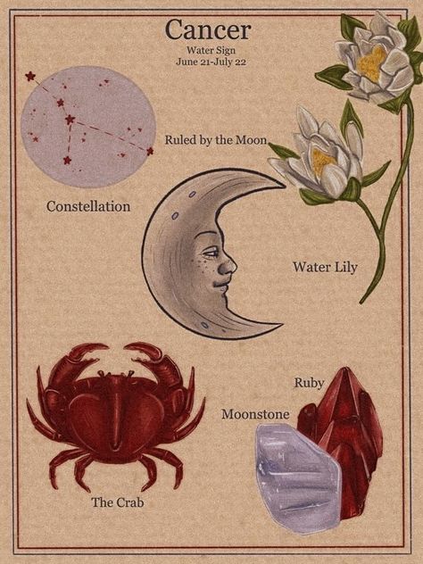 Astrology Art, Zodiac Signs Astrology, Arte Sketchbook, Zodiac Art, Astrology Zodiac, Astrology Signs, Star Signs, Zodiac Sign, Vintage Posters