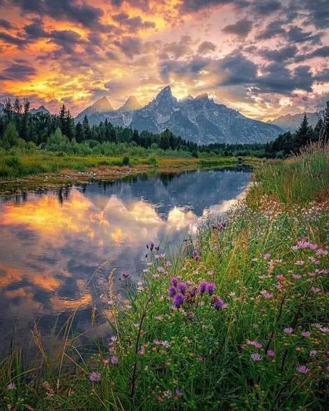 Grand Tetons Mountains Wyoming, Wyoming Nature, Landscape Painting Watercolor, Wyoming Vacation, Beautiful Scenery Photography, Mountain Pictures, Scenery Photography, Pretty Landscapes, National Parks Trip