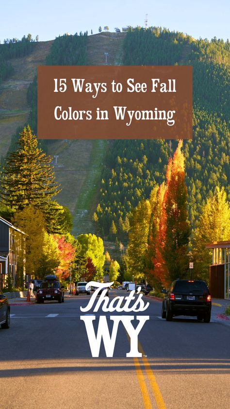 Fall in Wyoming is just around the corner! Read the blog to find out the best places to see fall colors in Wyoming. Tower Fall Wyoming, Travel Wyoming, Wyoming Vacation, Tower Falling, Wyoming Travel, Jackson Wyoming, Rock Springs, Fall Bucket List, Continental Divide