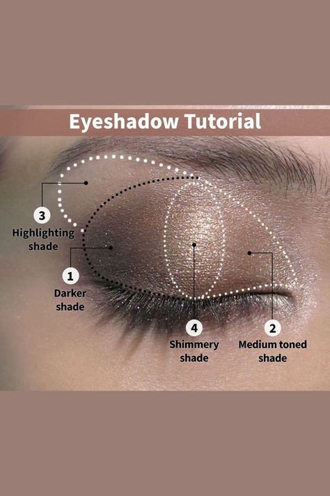 ChicCanvas: LuxeLooks Makeup Artistry #MakeupTrends #SculptedCheeks #DewySkin #GraphicLiner #BeautyCanvasMasterpieces Eyeshadow Styles Chart, Eyeshadow As Lipstick, Eyeshadow Diagram, Makeup Looks Editorial, How To Use Eyeshadow, Simple Eyeshadow Tutorial, Eyeshadow Step By Step, Apply Eyeshadow, Makeup Order