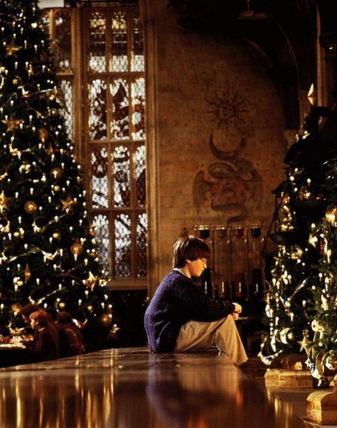 Harry Potter Harry Potter Christmas Scene, Harry Potter New, Hogwarts Christmas, Xmas Wallpaper, Images Harry Potter, Fotografi Vintage, Hogwarts Aesthetic, I Love Cinema, Harry Potter Christmas