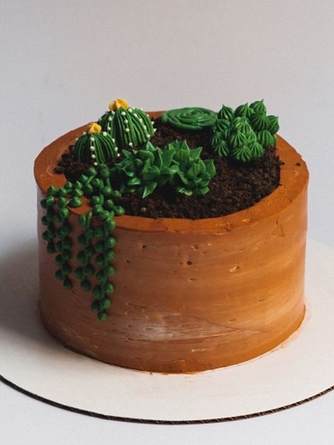 Cakes Simple Decoration, Plant Cake Ideas Easy, Plant Cake Ideas, Plant Cake Design, Plant Cakes Ideas, Plant Cakes, Succulents Cake, Buttercream Succulents, Cake Ideas Simple