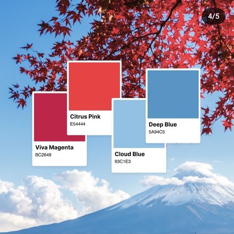 Viva Magenta Color Palette, Myspace Profile, Kids Bedroom Makeover, Navy Color Palette, Pantone Palette, Blue Color Combinations, Cyan Colour, Wedding Color Trends, Color Composition