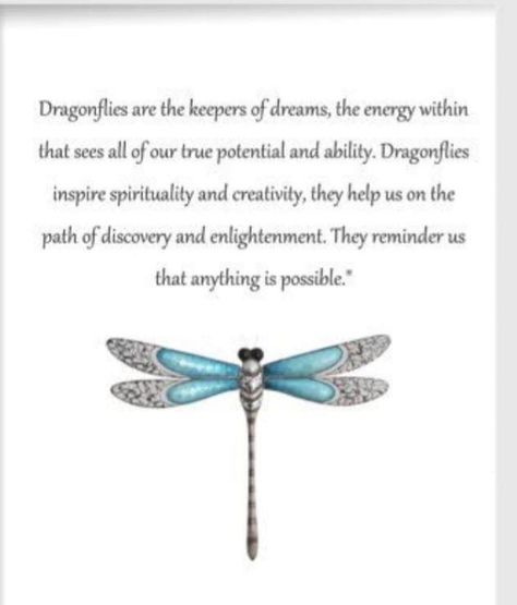 Dragonfly Meaning Spiritual, Dragonfly Meaning, Dragonfly Symbolism, Dragonfly Quotes, Dragonfly Artwork, Dragon Flys, Inspiring Nature, Dragonfly Tattoo Design, Glass Dragonfly