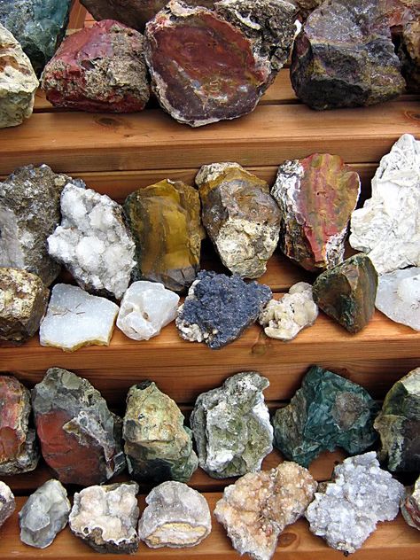 Types Of Rocks, Raw Gemstones Rocks, Rock Identification, Rock Tumbling, Rocks And Fossils, Rock Hunting, Geology Rocks, Rock Types, Rock Minerals